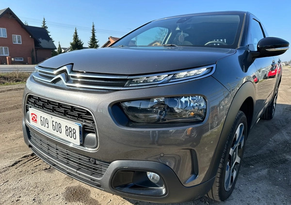 Citroen C4 Cactus cena 26900 przebieg: 101000, rok produkcji 2019 z Turek małe 631